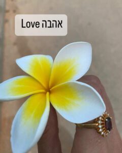 פרח צהוב